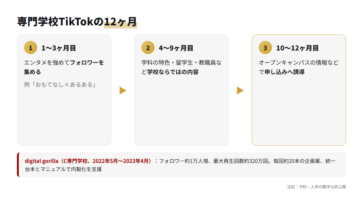 digital gorillaの事例にもとづく、12ヶ月を3段階に分けた運用の流れ図。